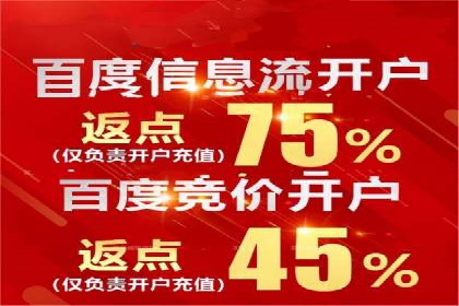 竞价广告赚钱之道：百度案例解析